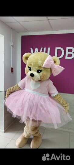 Поздравление от ростовой куклы мишки Милашки