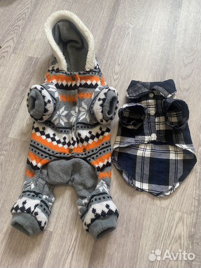 Одежда для животных