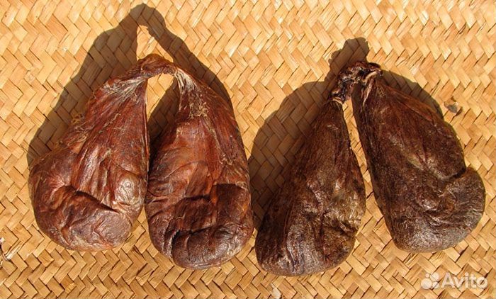 Секретные железы