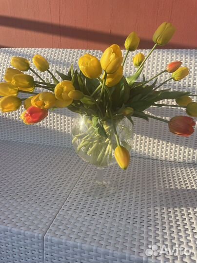 Тюльпаны интерьерные