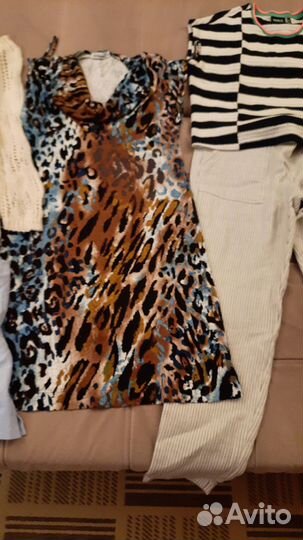 Женская одежда