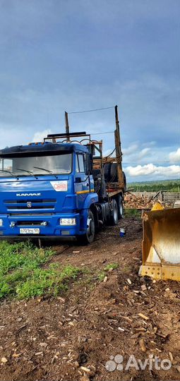 КамАЗ 65116, 2021