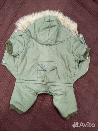 Одежда для собак (куртка и обувь)