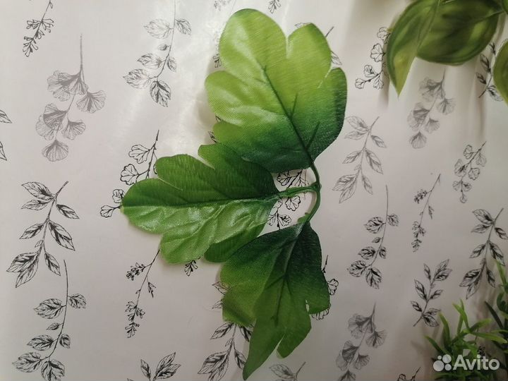 Лист тройной. Хризантемы