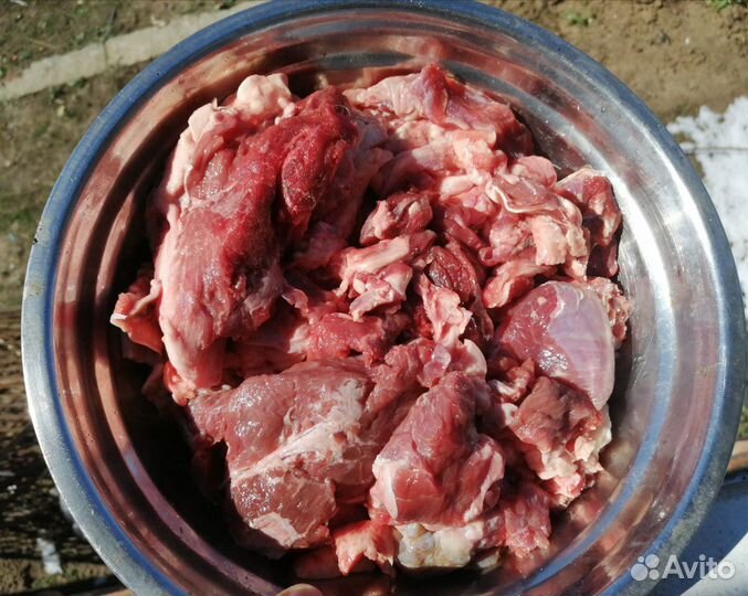 Мясо для собак (говядина)