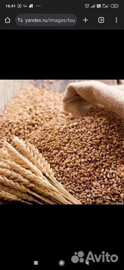 Ячмень в мешках с доставкой