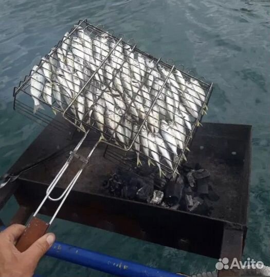 Морская рыбалка в сочи