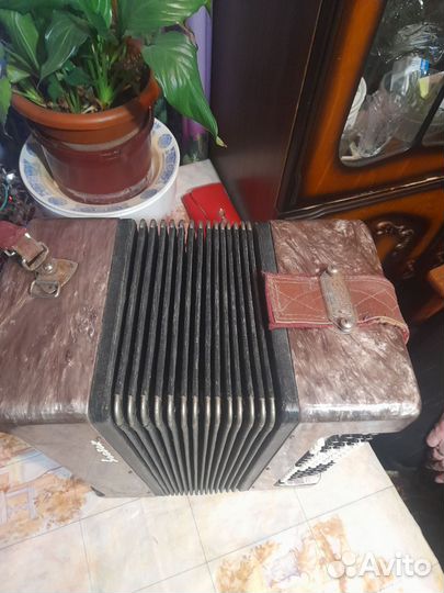 Баян восток. Кировский. оумп