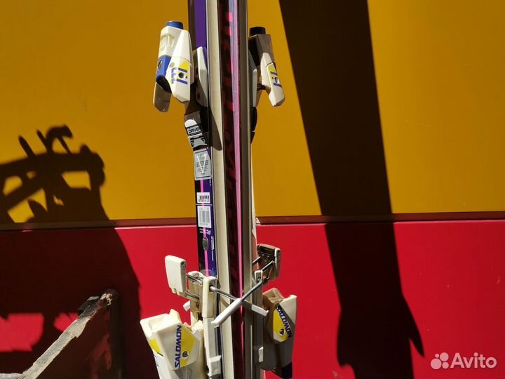 Горные лыжи