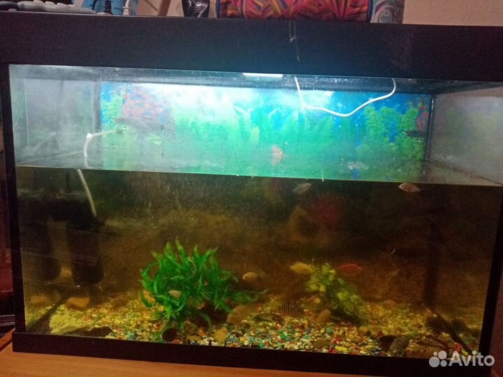 Аквариум