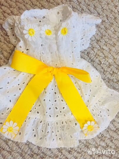 Одежда для маленьких пород собак