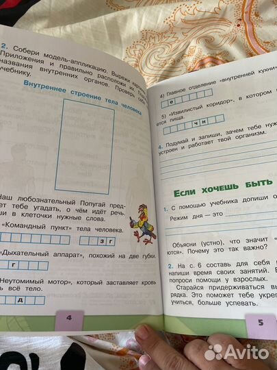 Рабочая тетрадь окружающий мир 2.часть 2 класс