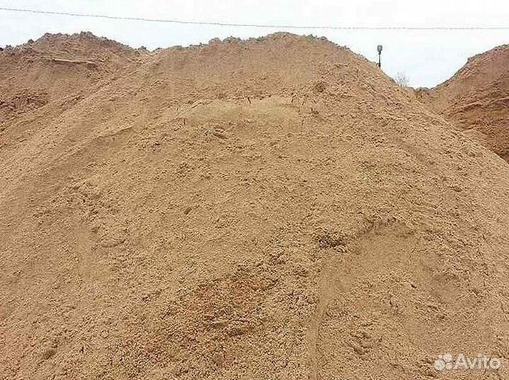 Земля для планирования участка. сорт П-82.7