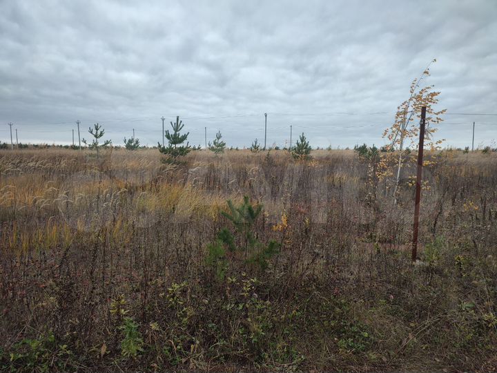 Участок 6 сот. (ИЖС)