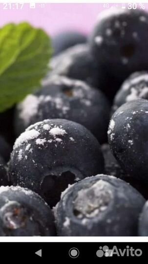 Черника заморозка в розницу и оптом