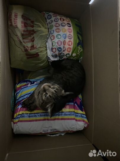 Детские вещи пакетом