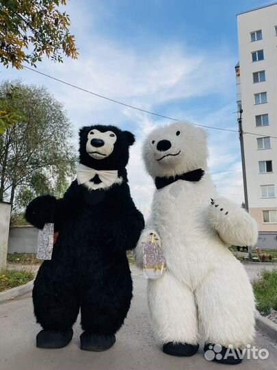 Ростовые мишки Умка и Барни.Поздравления