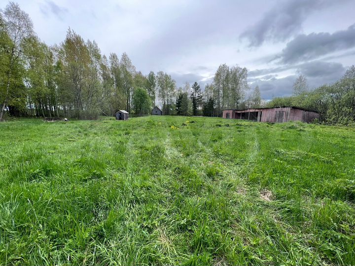 Участок 1,2 га (СНТ, ДНП)