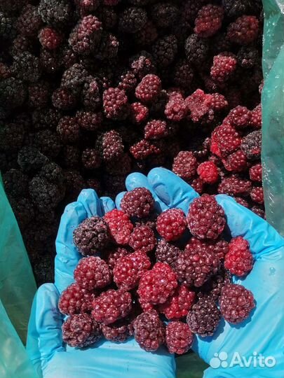 Ежемалина замороженная премиум - класса (целая)