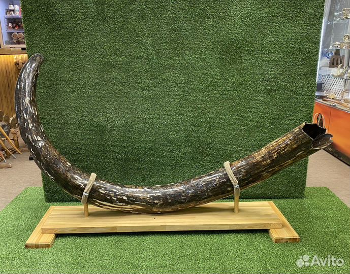 Сувенир, бивень мамонта