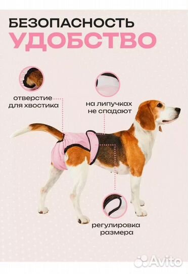 Трусы для собаки новые