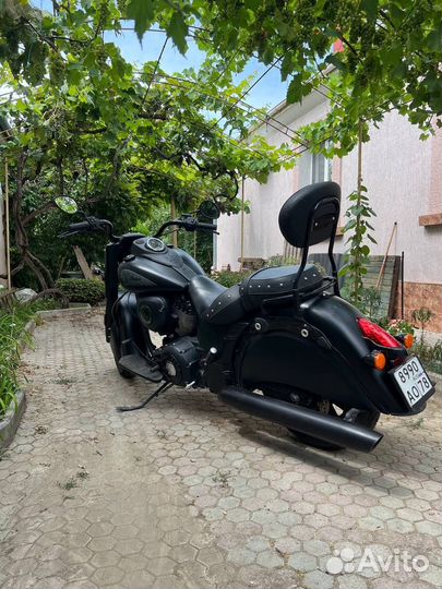 Indian dark horse