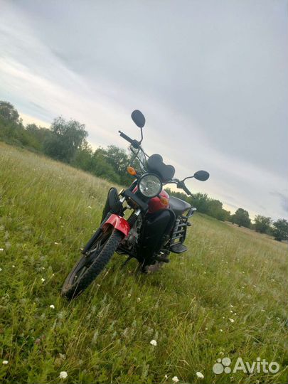 Альфа