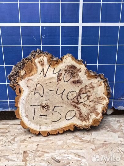 Спил капового карагача