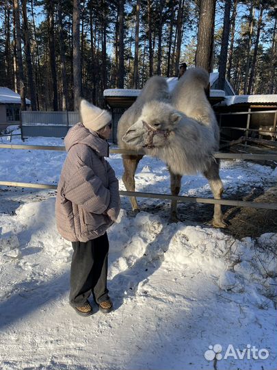 Куртка зимняя