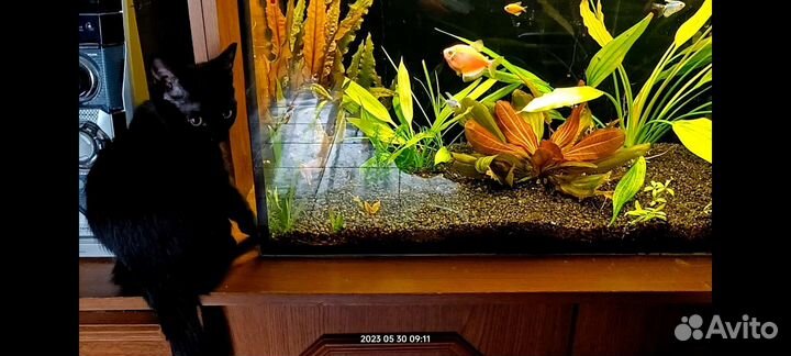 Аквариумный грунт