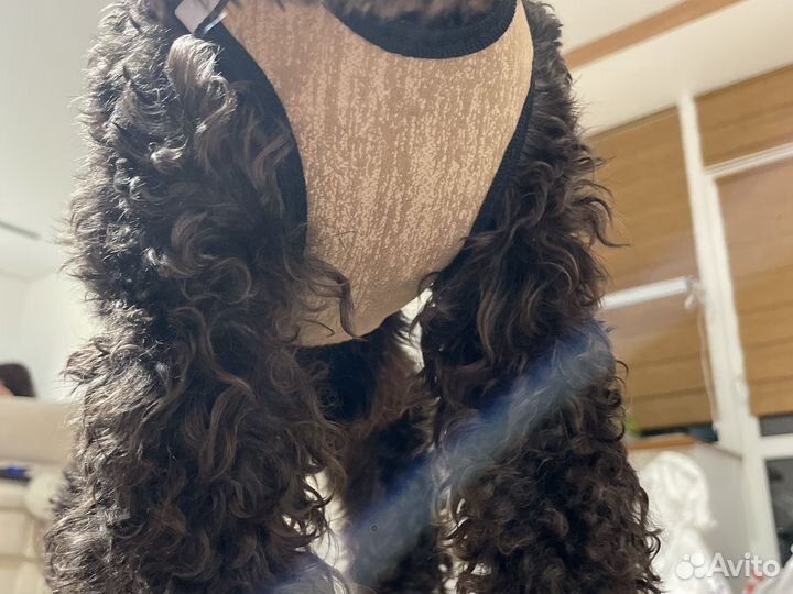 Шлейка для собаки размер 46-52