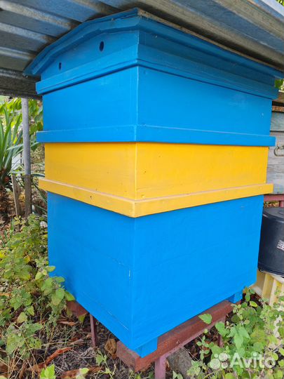 Улей для пчел