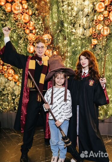 Аниматор на День Рождение / Праздник