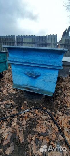 Продам ульи для пчел