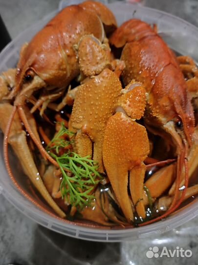 Раки вареные