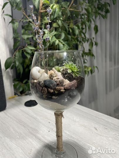 Флорариум/суккуленты/подарок