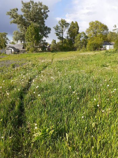 Участок 23 сот. (СНТ, ДНП)