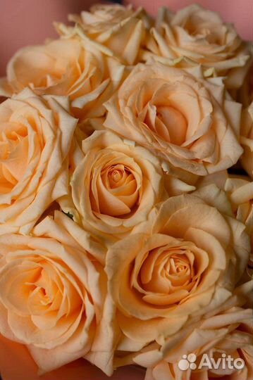 Букет персиковых роз