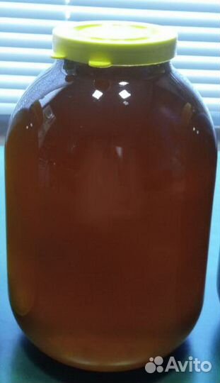 Мед 3л светлое разнотравье, Пенза 2024г