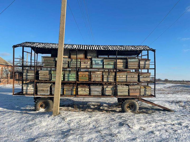 Пчелоприцеп