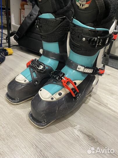 Горнолыжные ботинки dalbello