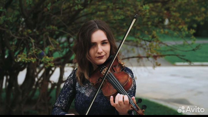 Скрипка на мероприятие