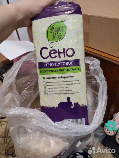 Стружка и сено, корм для морской свинки