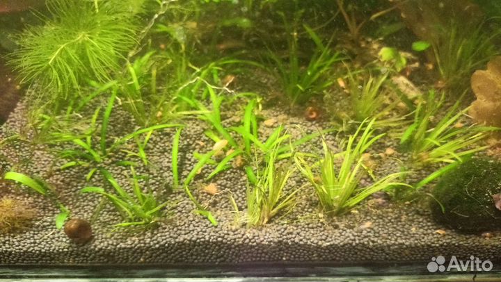 Украшения для аквариума