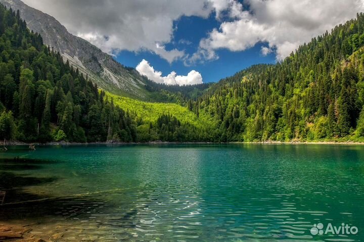 Экскурсии и туры: Сочи - Красная Поляна - Абхазия