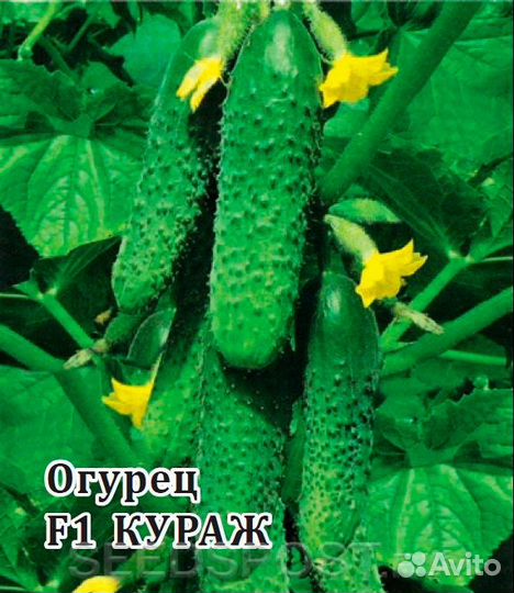 Семена овощей