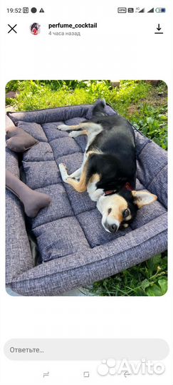 Лежанка для собак