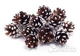Шишки сосновые