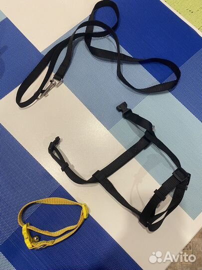 Поводок, ошейник, шлейка