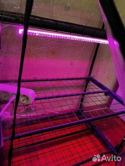 Парник для рассады